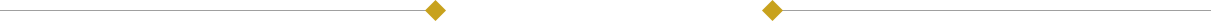 江诗丹顿维修服务中心
