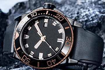 无锡江诗丹顿配表扣