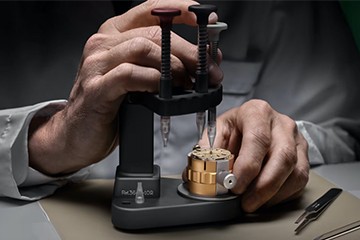 原装的无锡江诗丹顿表带多少钱